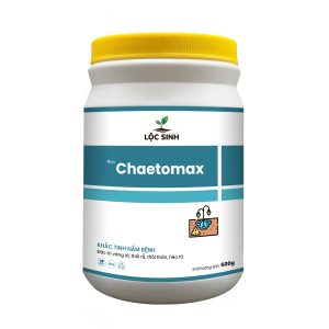 Alternative view of Chaetomax