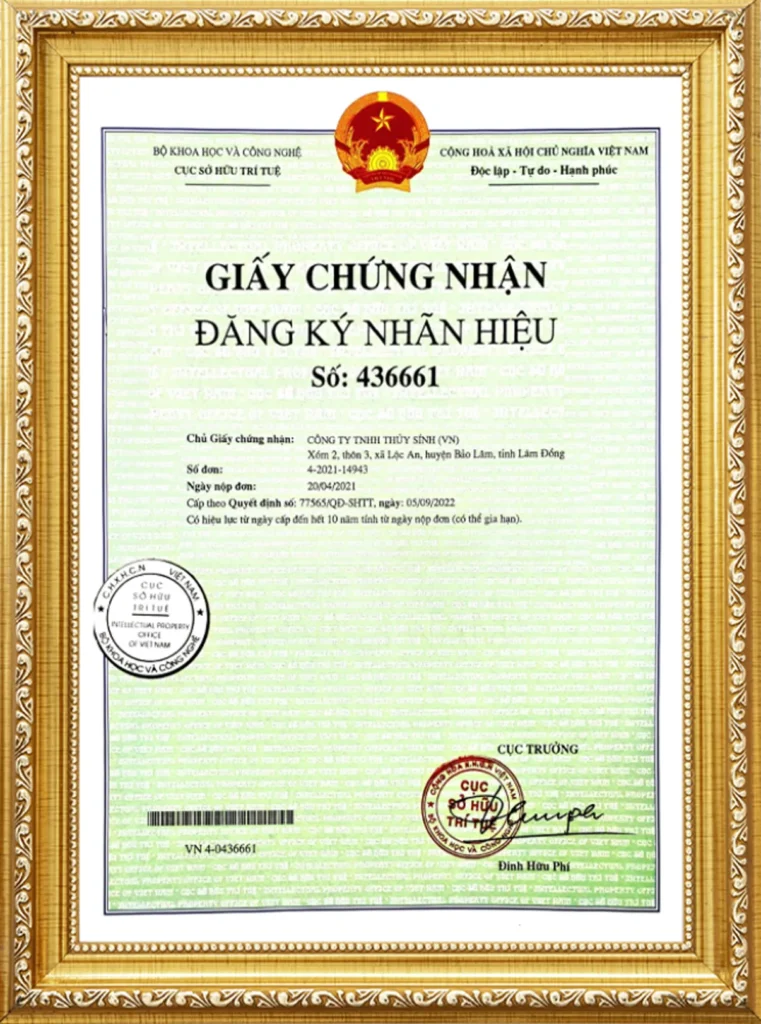 giay-chung-nhan-dang-ky-nhan-hieu