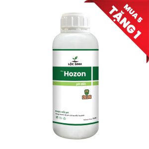 Hozon 1L
