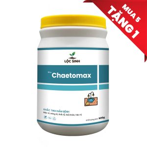 Chaetomax