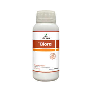 Blora