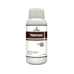 Namas