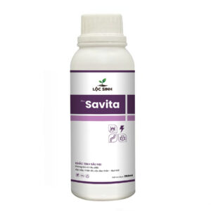 Savita