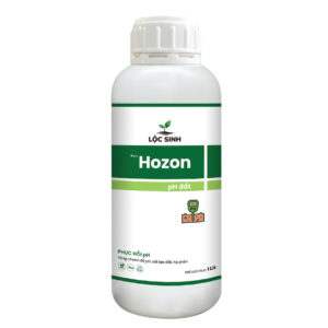 Hozon