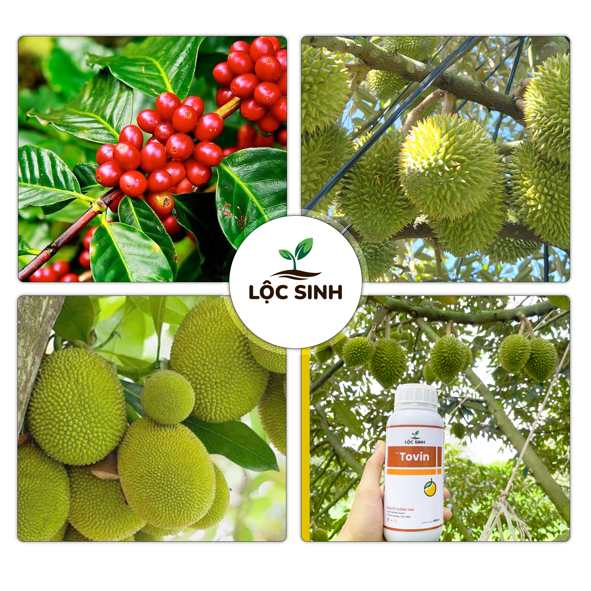 Tovin 500ml - Ảnh 3